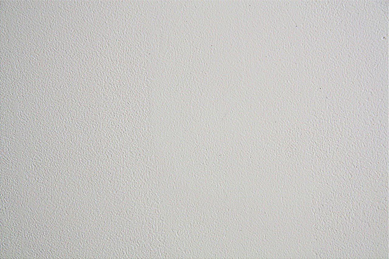 pexels lazybird 1260727.jpg