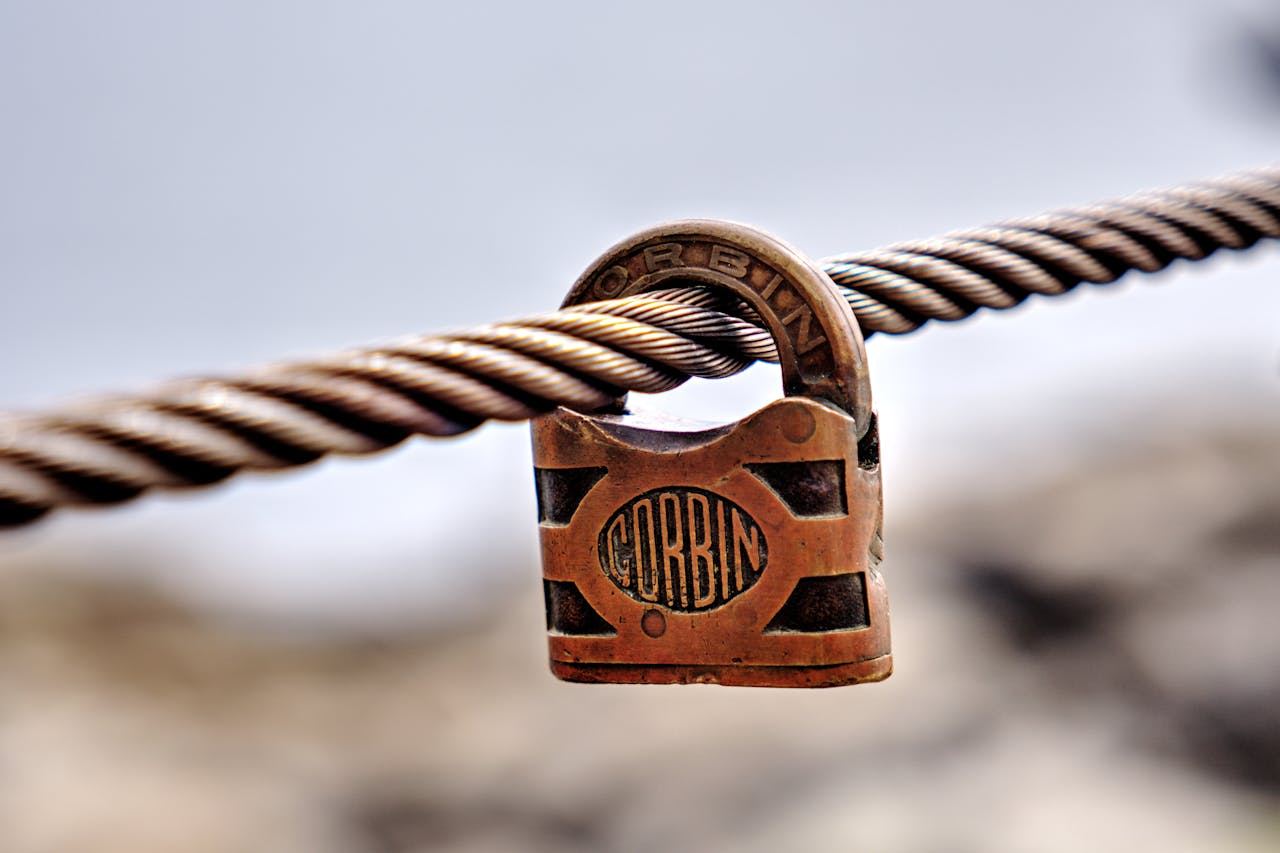 pexels nitty gritty 33081314.jpg