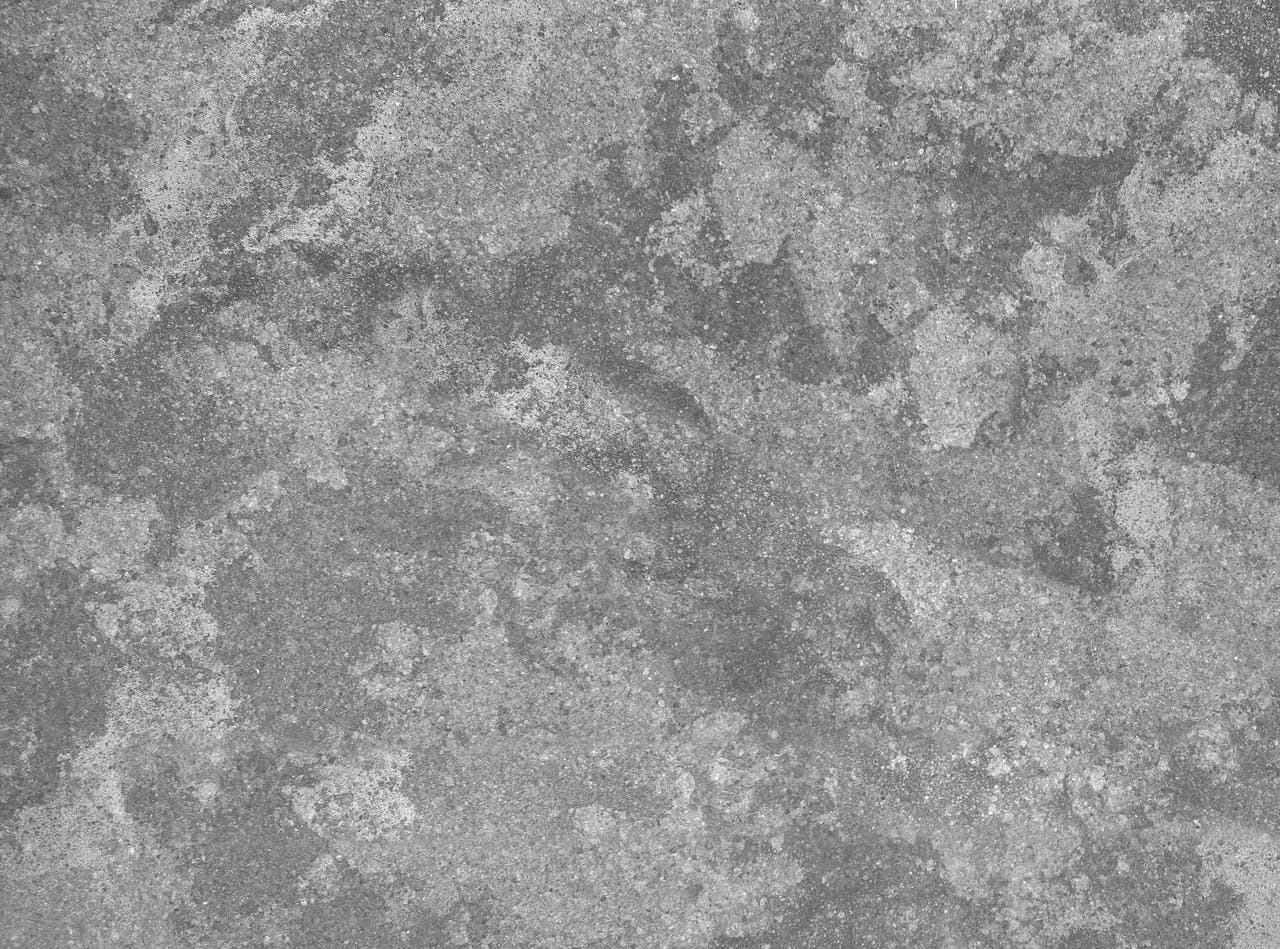 pexels scottwebb 3255763.jpg